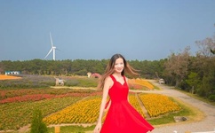 9612黄桃网站进入页面免费